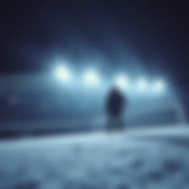 Magnificent 나눔 로또의 이해와 전략