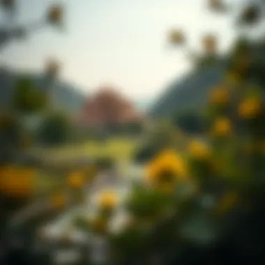 Magnificent 로또 결과에 대한 총체적 이해 Magnificent 로또 결과에 대한 총체적 이해