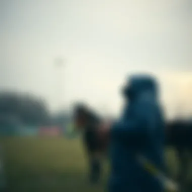 Notable 스포츠 스트리밍 사이트: 현황과 미래
